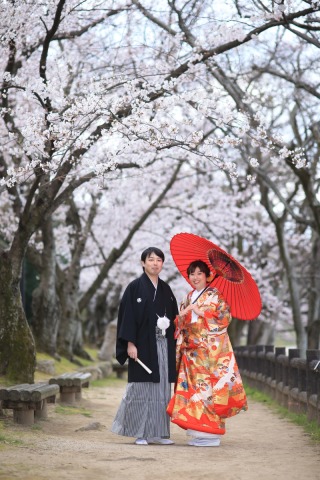 桜並木の下で♪