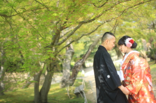 新緑の季節が近づいてきました。