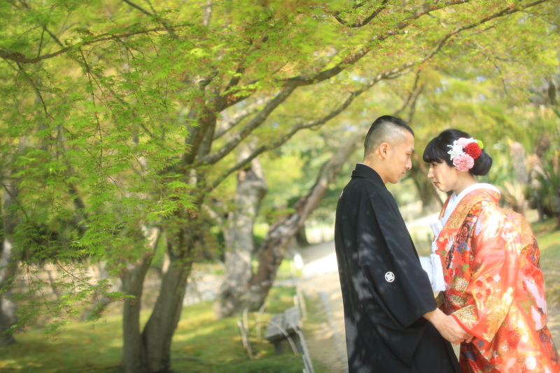 新緑の季節が近づいてきました。