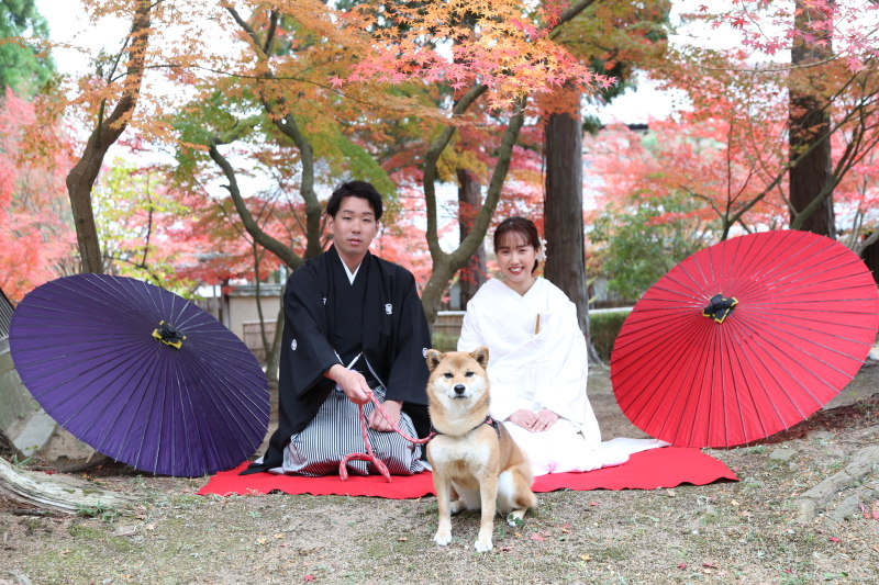 大切なペットと一緒に