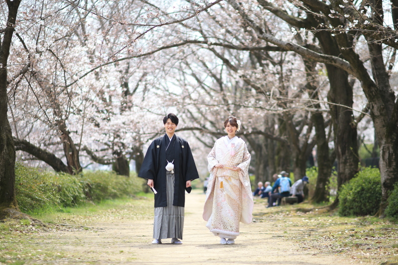 桜ロケーション