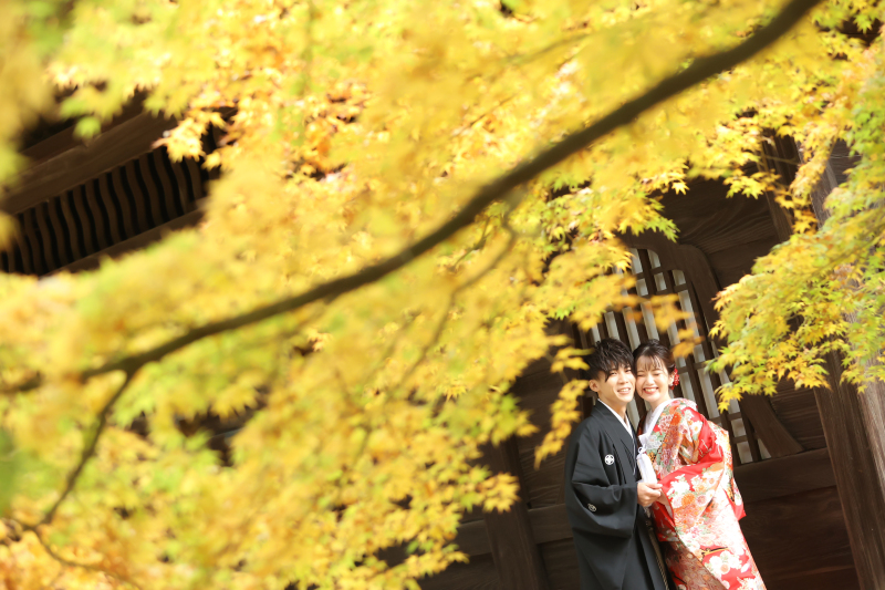 紅葉ロケーション