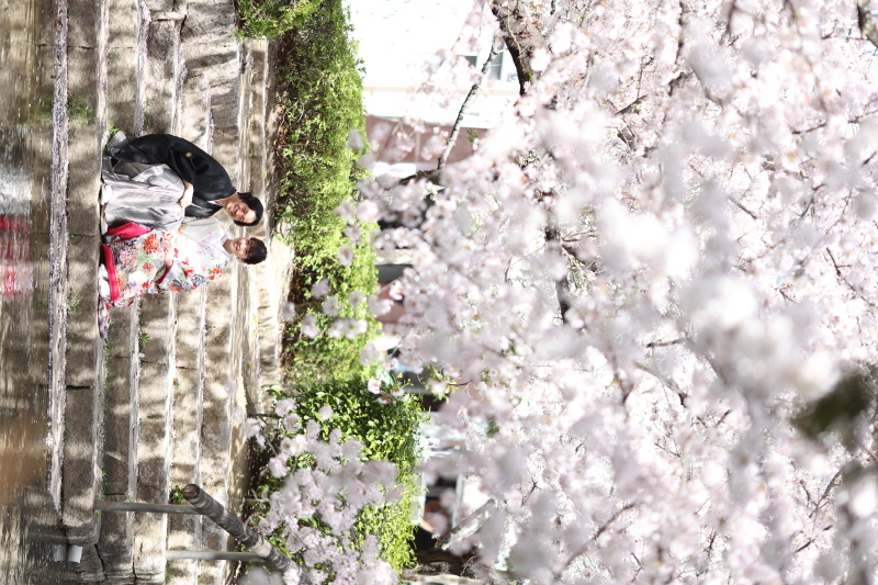 ピクニックの様に＊