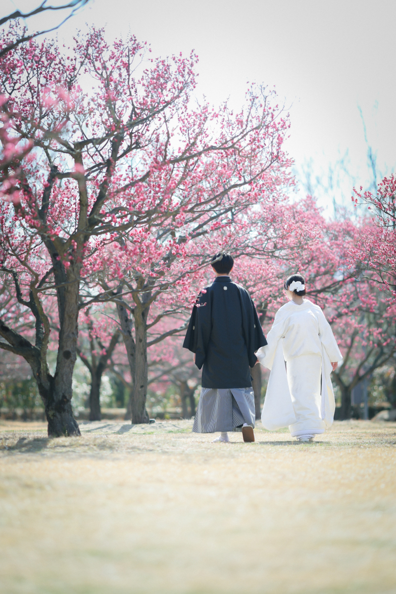 お散歩ショット