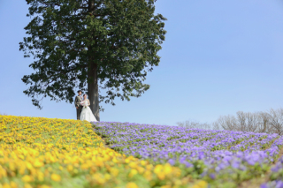 お花畑ロケーション♩