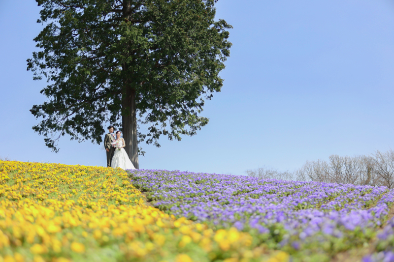 お花畑ロケーション♩