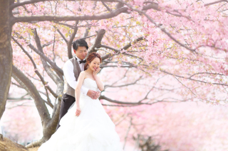 桜ロケーション×館内*＊