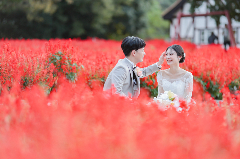 赤いお花畑もステキ＊