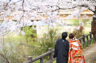 桜ロケーション×挙式風撮影