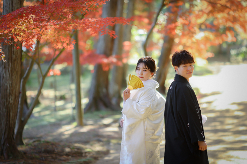 紅葉×スタジオ