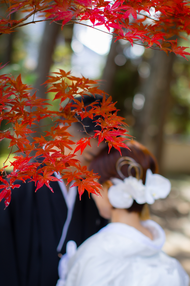 白無垢×紅葉