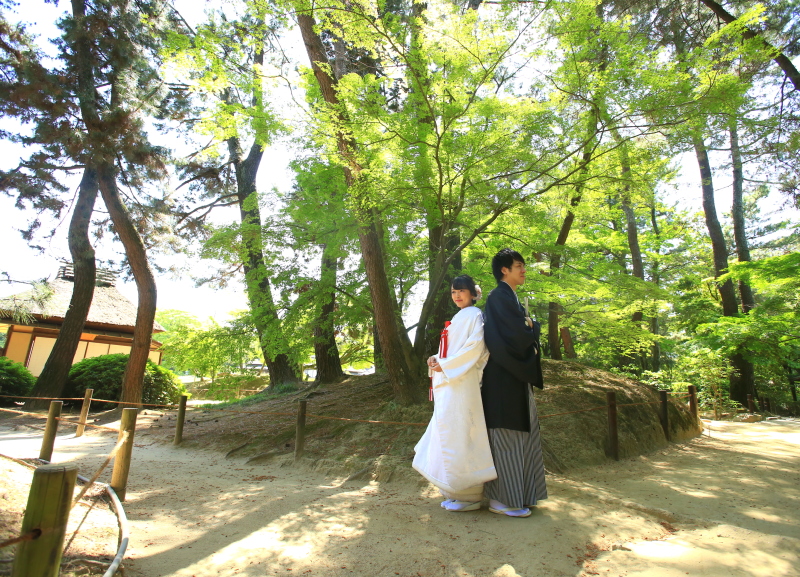 緑が鮮やかな新緑♪