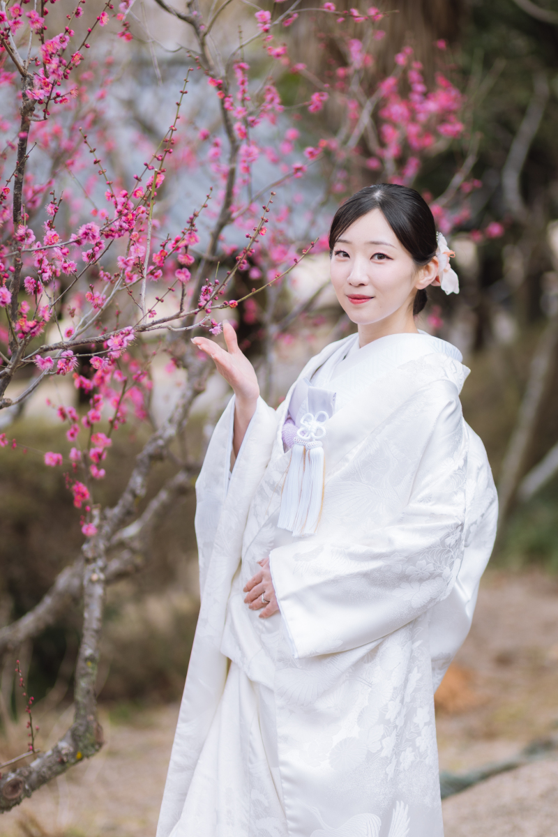 梅が咲いていました＊