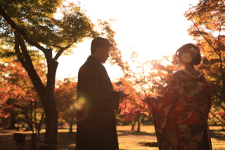 しっとりとした雰囲気で