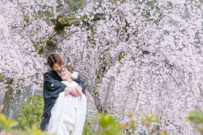 華やかな写真を撮るならココ！桜ロケーション撮影♪