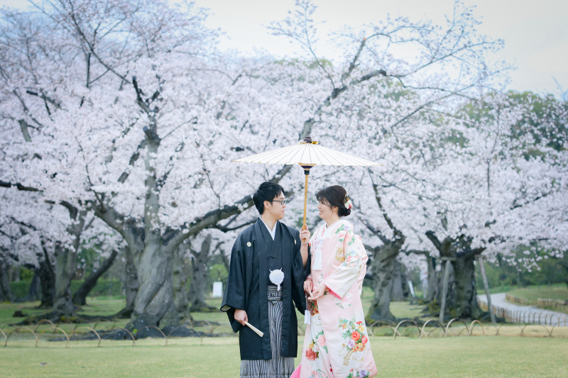 桜*