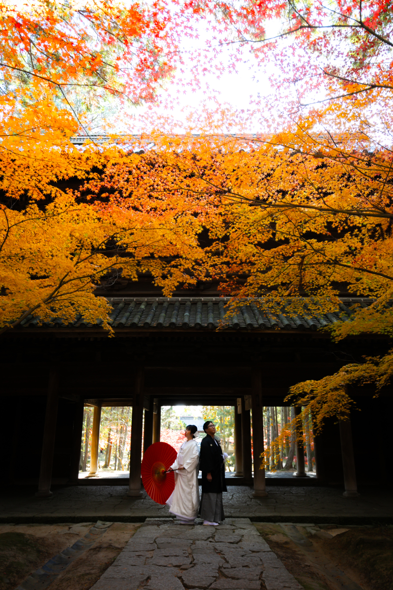 曹源寺の、みどころ♪