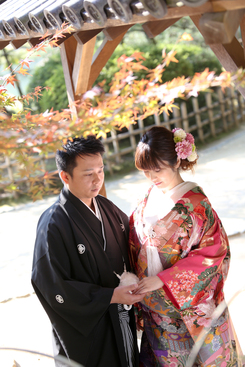 11月6日。