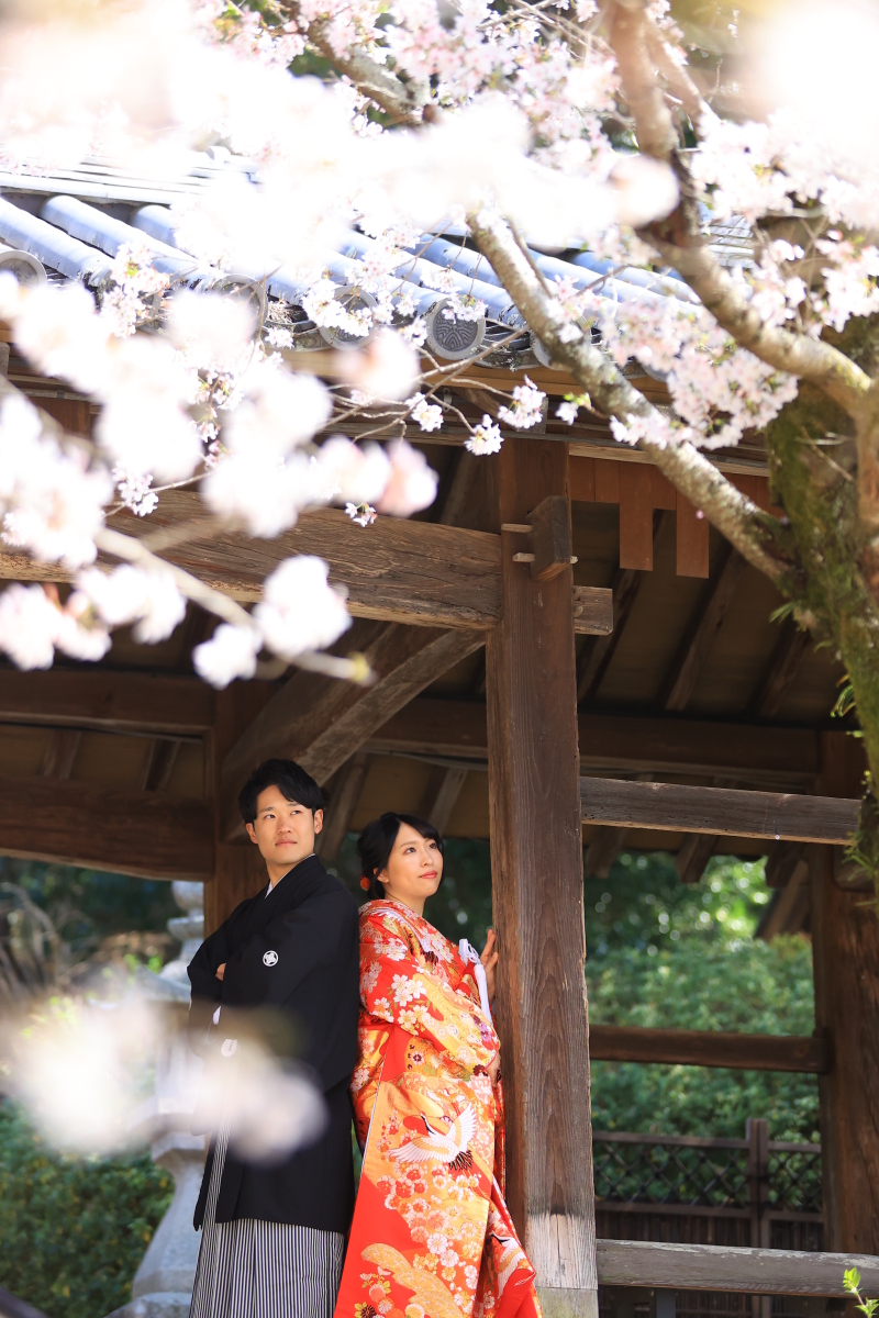 桜を眺めながら♡