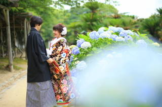 新緑と紫陽花のロケーション＆パンジーのカラードレス♪