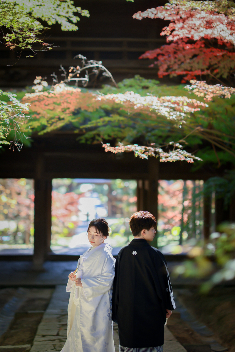 趣のある雰囲気が漂います