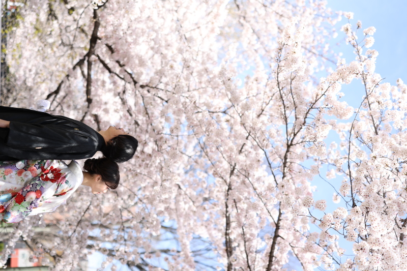 お天気も良く◎