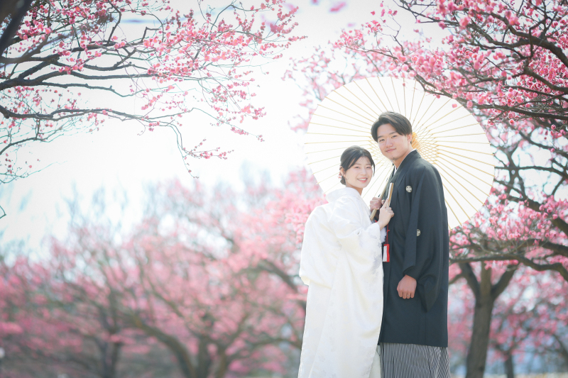 奥行き感のあるショット