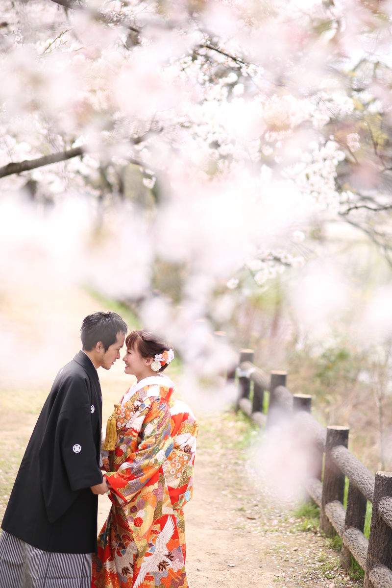 桜ロケーション