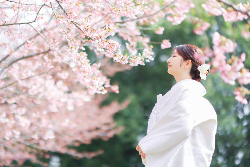 ピンク色の世界✰