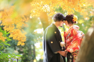 紅葉ロケーション＆カラードレスで前撮り