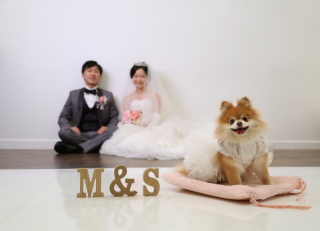ペットとの撮影