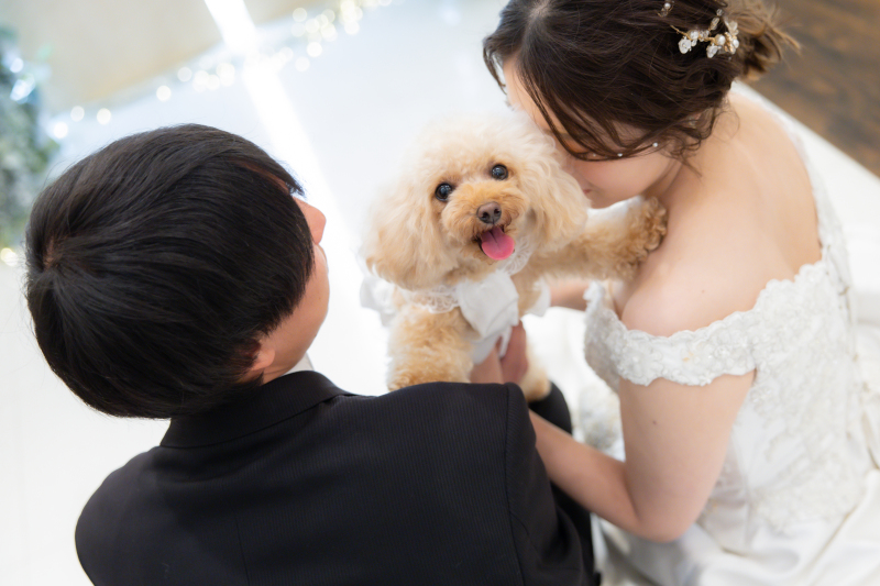 Point1 多彩な撮影シーン