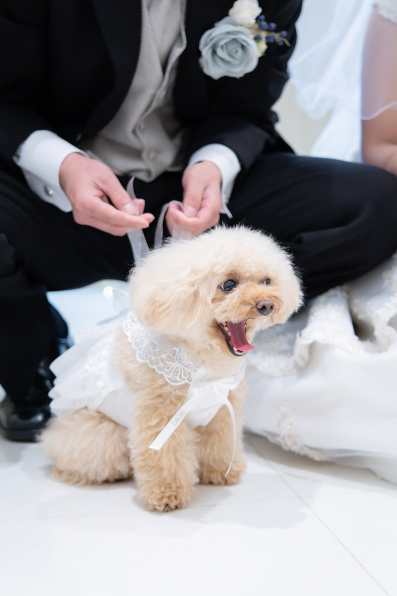 Point1 多彩な撮影シーン