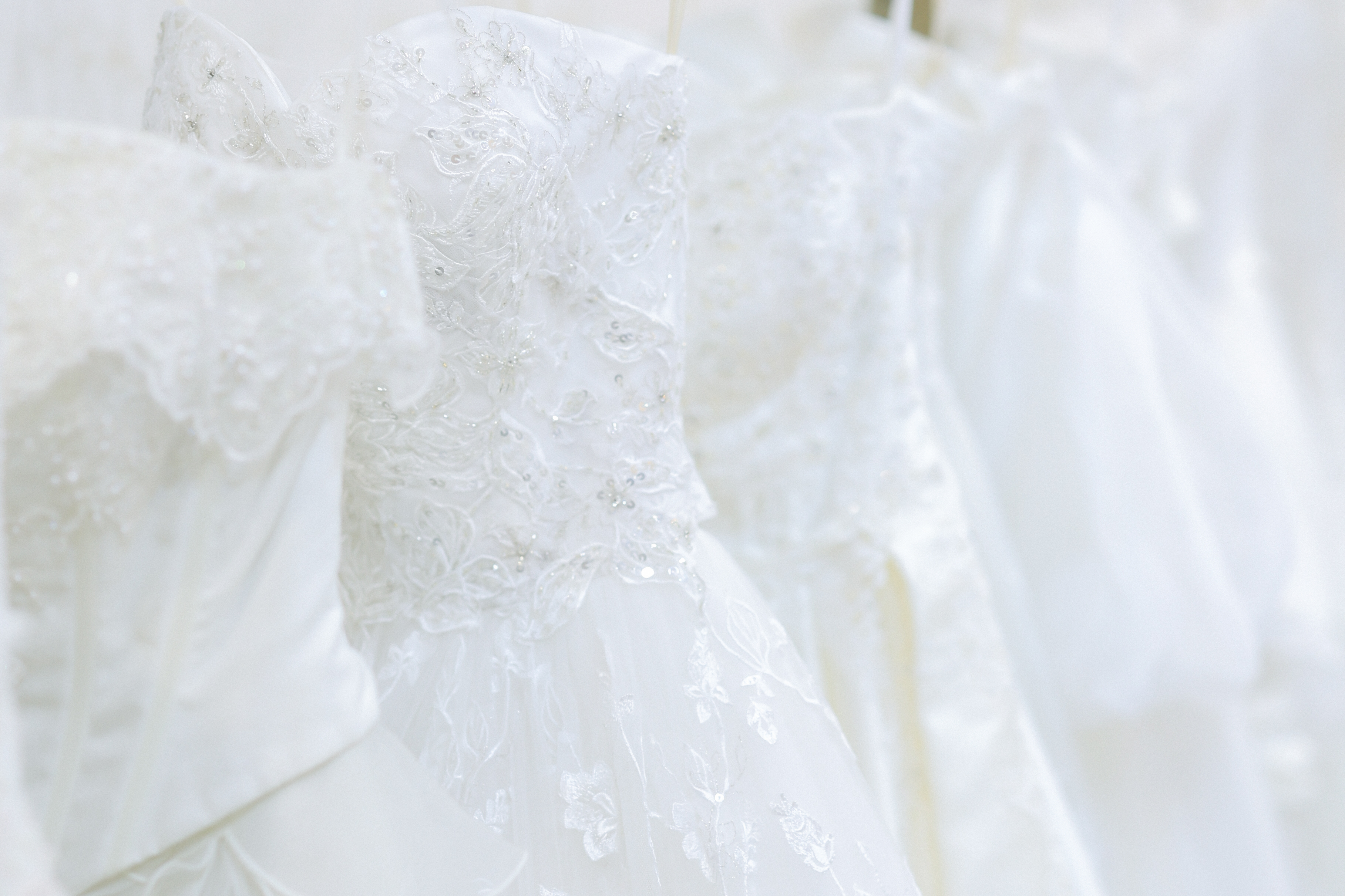 Point1 多彩な撮影シーン