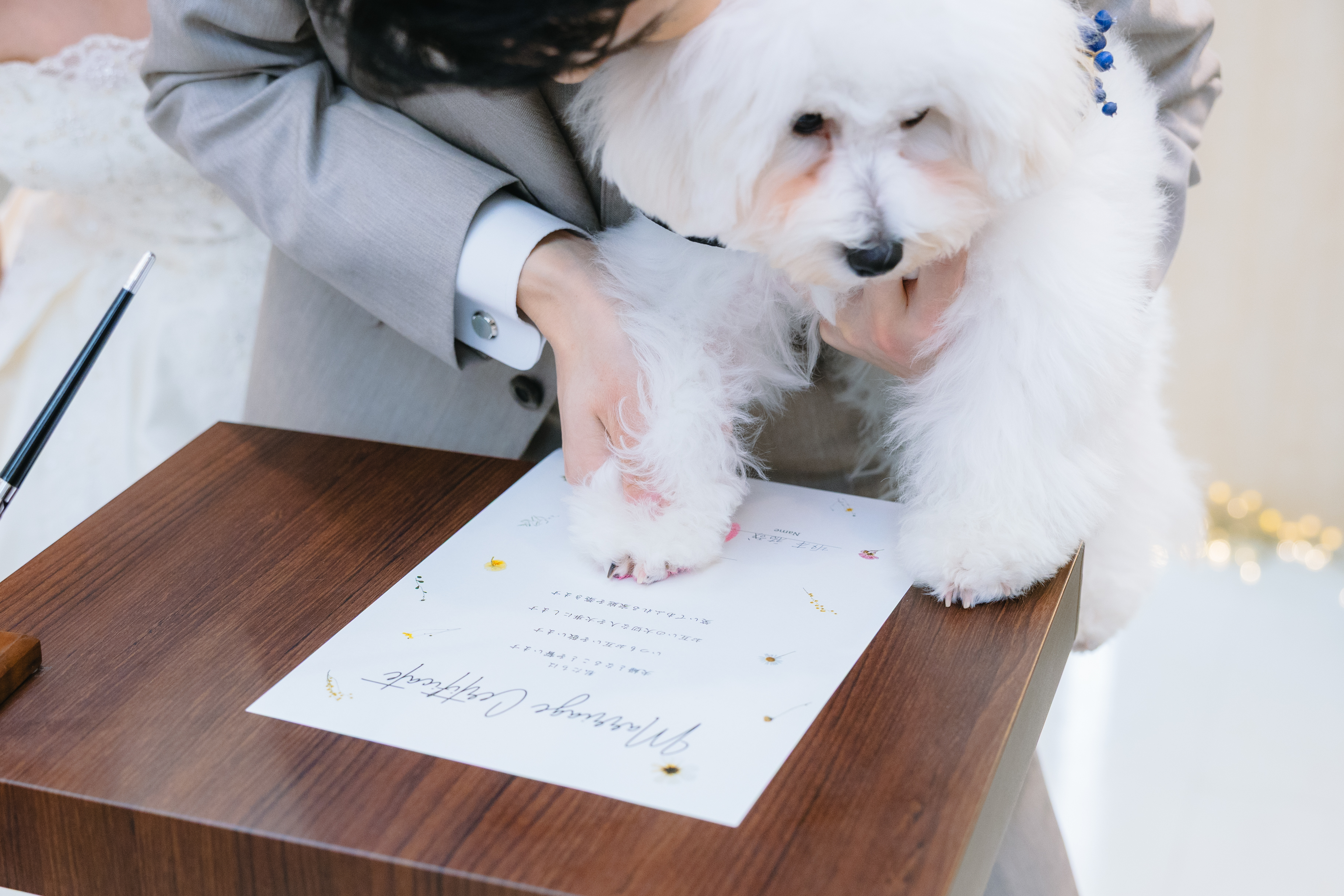 Point1 多彩な撮影シーン