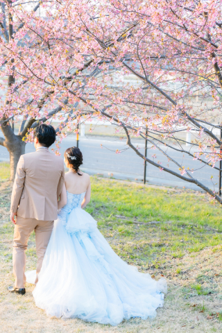 プリエージュokayama by STUDIO View_桜ロケーション