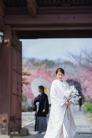 プリエージュokayama by STUDIO View_桜ロケーション