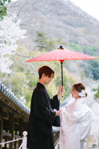 プリエージュokayama by STUDIO View_桜ロケーション