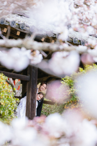 プリエージュokayama by STUDIO View_桜ロケーション