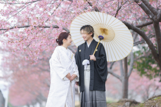 プリエージュokayama by STUDIO View_桜ロケーション