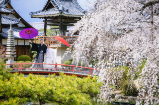 プリエージュokayama by STUDIO View_桜ロケーション