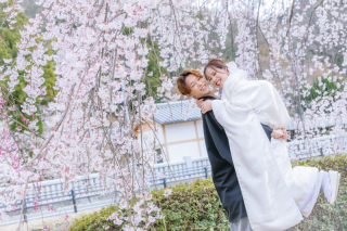 プリエージュokayama by STUDIO View_桜ロケーション