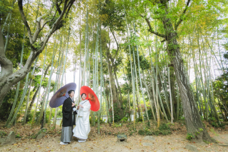プリエージュokayama by STUDIO View_【和装新緑ロケ】曹源寺・後楽園・美観地区・吉備津神社等