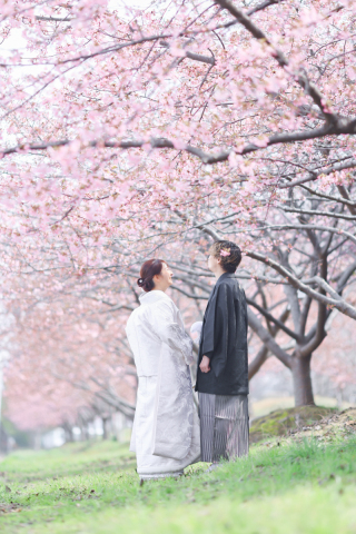 プリエージュokayama by STUDIO View_桜ロケーション