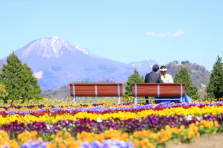 お花畑での撮影♪自然豊かで素敵！