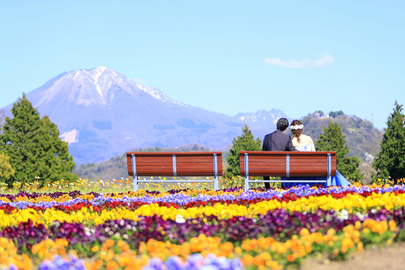 お花畑での撮影♪自然豊かで素敵!