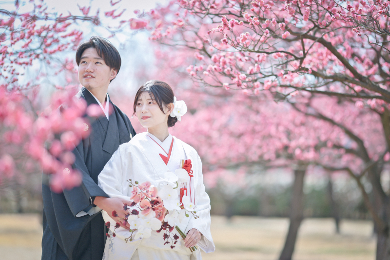 【2026年梅・桜撮影】和装1点+洋装1点 桜ロケ×スタジオ or チャペル