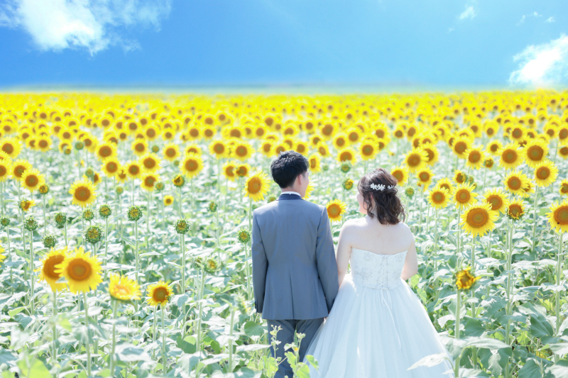 【夏撮影限定＊5/1～8/31撮影】洋装1点ロケーション〈107,800円&rarr;77,000円に！〉