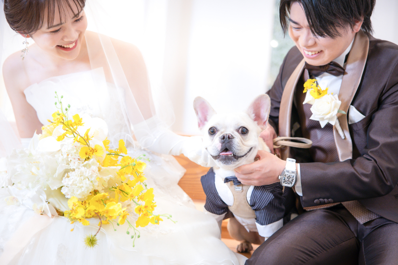 ペットと一緒に撮影プラン♩｜チャペルやスタジオで撮影♪｜1日でご準備～撮影可能◎