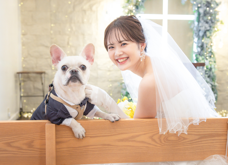 ペットと一緒に撮影プラン♩｜チャペルやスタジオで撮影♪｜1日でご準備～撮影可能◎
